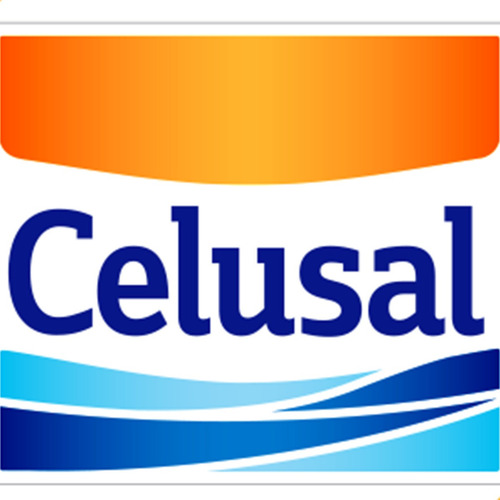 Imagen 3 de 7 de Sal Fina Celusal Salero 250g Sin Tacc Libre Gluten
