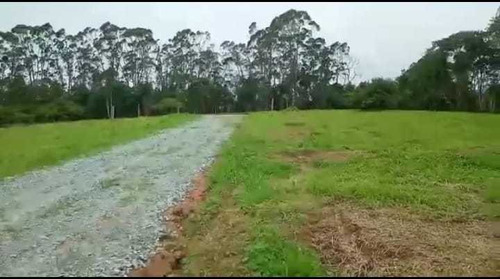 Imagem 5 de 14 de B77- Lotes De 1000 Mt2 Com Escritura Individual