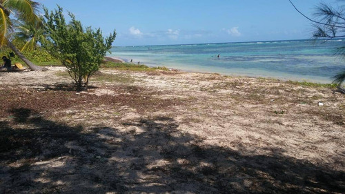 Imagen 2 de 4 de Excelente Terreno Con 20 Metros De Frente De Playa En Mahahual Q. Roo Em01221