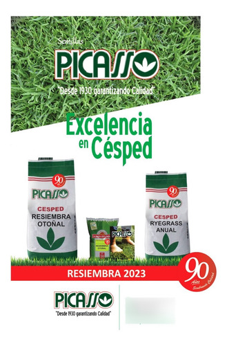 Semillas De Cesped - Ryegras - Picasso - Excel I