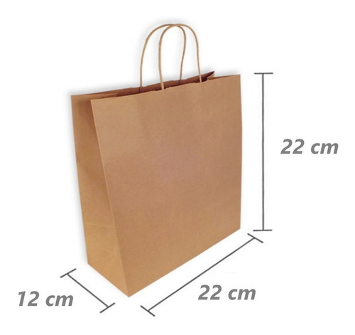 Bolsa De Papel  Liner Con Asa Twist 22x22x12 *pack 25 Bolsas