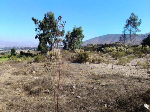 Vive En Este Lindo Lugar (74409)