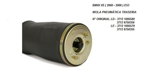 Bolsa De Ar Bmw X5 Traseira 2000 À 2006 #3712 6790078