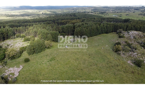 Campo En Ruta 8 - Marmarajá - Lavalleja
