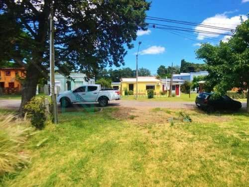 Imagen 10 de 14 de Colonia Del Sacramento - Casa A Refaccionar Con Muy Buen Terreno