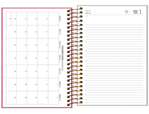 Imagem 3 de 4 de Agenda Executiva Espiral Diária 20 X 27,5 Spot Feminina 2022
