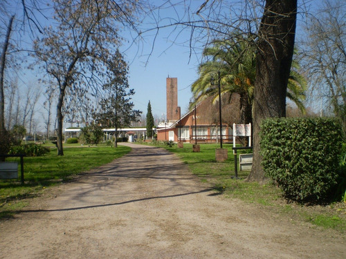 Imagen 7 de 11 de Venta De Lote - Guernica