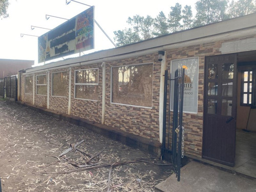 Casa Comercial En Algarrobo Centro: 300 M² Útiles