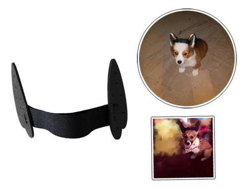2 Soporte Duradero Para Orejas De Perro, Pegatinas Para