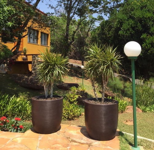 1 Vaso Grande Frutifera Limoeiro Laranjeira Amoreira 70x70 R