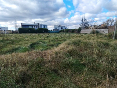 Terreno En Venta Los Talas - Berisso