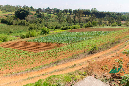 Imagem 9 de 14 de Sítio A Venda Em Suzano, Área De 48000metros.