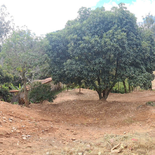 Imagem 12 de 14 de Chacara Mairinque Km 68 Castelo Branco Bairro Dona Catarina