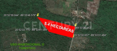 Terreno En Reserva Ecológica De Cuxtal De San Pedro Chimay Yucatán.