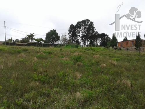 Imagem 6 de 15 de Cod 4008 - Belíssimo Terreno Pronto Para Construir - 4008