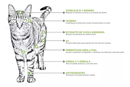 Nupec Felino Indoor 20kg (4 Bultos De 5kg C/u)
