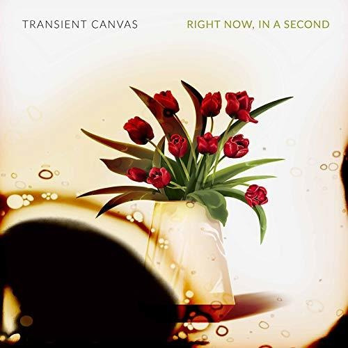 Cd Right Now In A Second - Transient Canvas
