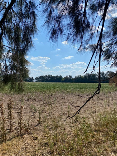 Alquiler Haras Emplaza En 20ha ,50boxes,dos Viviendas, Alambrados Nuevos,mejoras .
