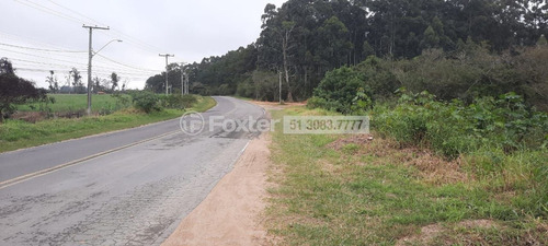 Imagem 5 de 5 de Terreno, 30204.67 M², Lageado - 207412