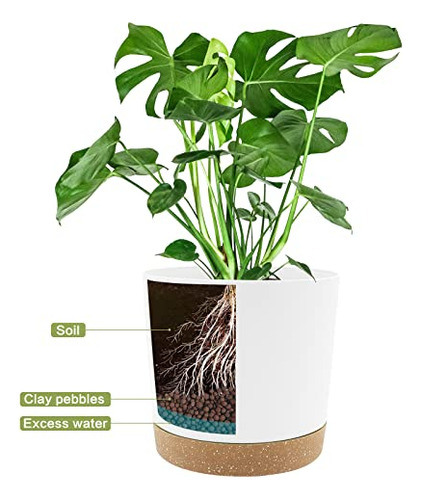 Juego De 2 Macetas 20 Cm, Plantas Interior, Drenaje, Base Ex