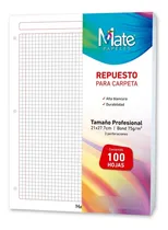 Comprar Mate | Hojas Para Carpeta | Carta | 100 Hojas