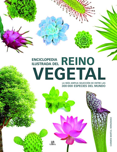 Enciclopedia Del Reino Vegetal - Lexus