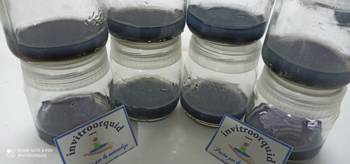 Medio Kc Cultivo Germinación Orquídeas In Vitro Estéril.