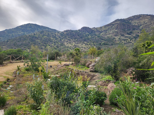 Casa De Un Piso Aislada, Gran Terreno, 5000 Metros