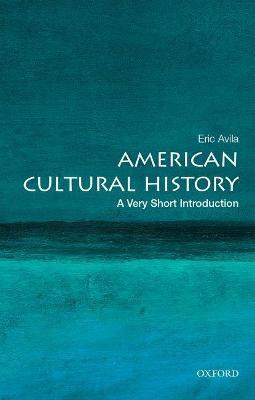 Libro American Cultural History: A Very Short Introductio...