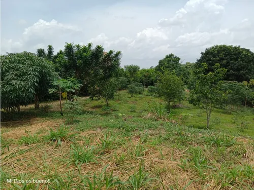Lote En Venta, Ubicado En Turbaco,bolivar