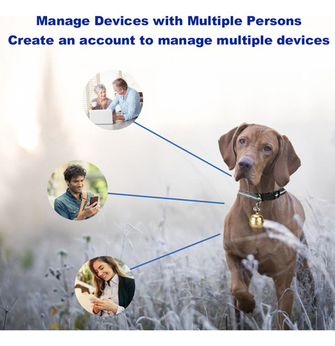 Localizador Gps Gps More Y Rastreador De Perros A Prueba De