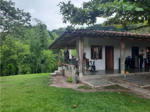 Venta Finca La Tebaida Cultivada En Pasto - 40 Cuadras