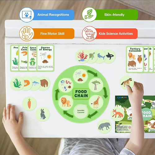 Ciclo De Vida Da Cadeia Alimentar Kit Party Favors Science