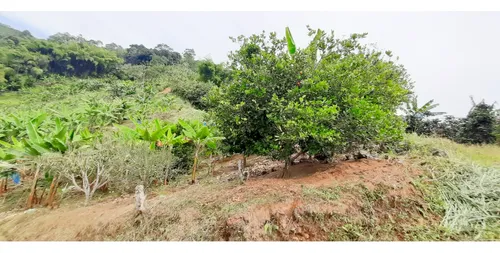 Venta Finca - Vereda Coco Hondo - Balboa