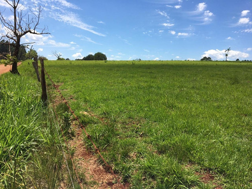Imagen 14 de 21 de Lote En Venta 1219m2 En Puerto Rico - Loteo Clemens Blick