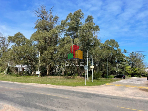 Terreno 10000 M2 , En Pinares - Punta Del Este