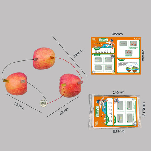 Kits De Experimentos Científicos De Batería De Frutas