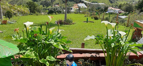 Imagen 2 de 28 de Hermosa Finca En Venta Marinilla