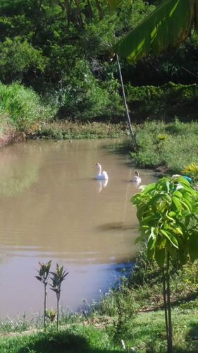Imagem 6 de 8 de Chácara A Venda Aceito Veículo Como Parte Do Pagamento