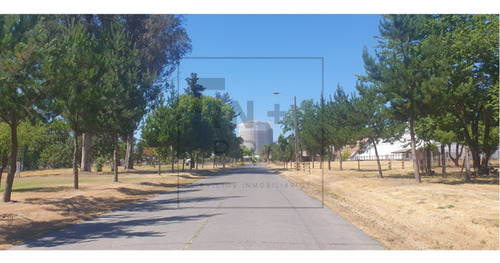 Bodega Industrial Con Oficina En Curicó - Los Niches
