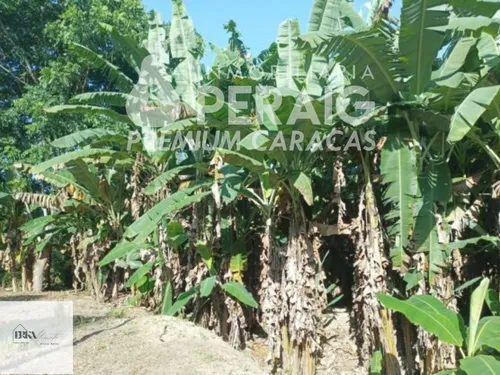 Venta Terreno En Guatire (em)