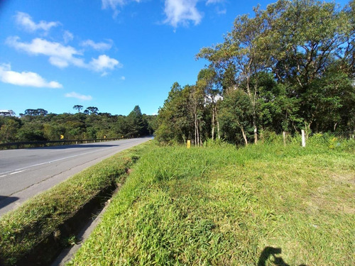 Imagem 4 de 15 de Sítio / Chácara Para Venda Em Tijucas Do Sul, Matulão /tijucas Do Sul, 2 Dormitórios, 2 Banheiros - 147_2-1569094