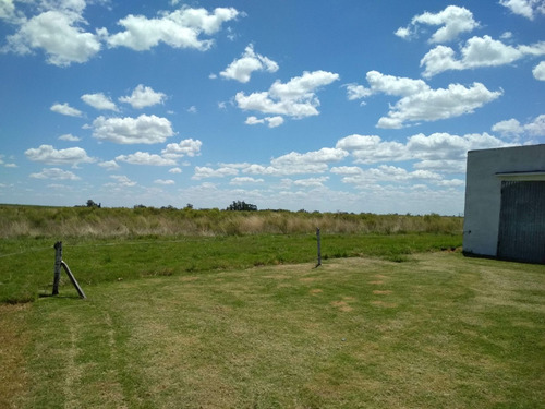 Campo De 11 Hectáreas En Ombúes De Betancor - Con Casa Completa. Coneat 161