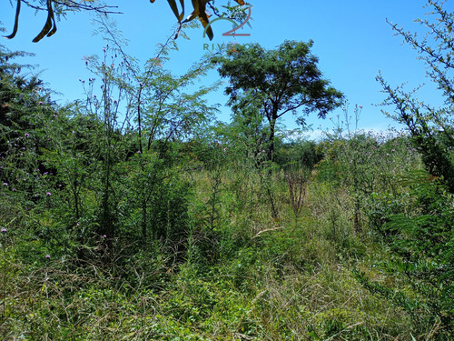 Se Vende Lote En Cordoba