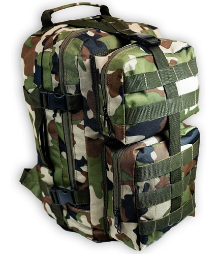 Mochila Tactica De Asalto Equipamiento Militar Molle 30lts