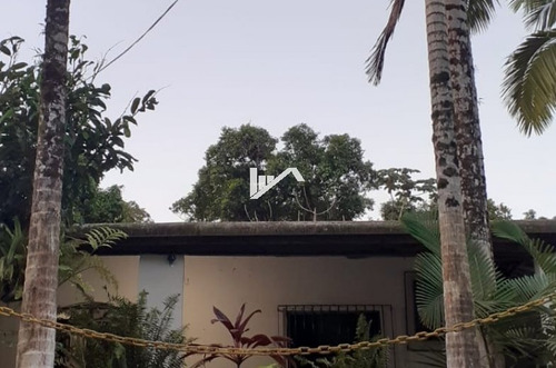 Imagem 3 de 16 de Chácara No Jardim Coronel Em Itanhaém