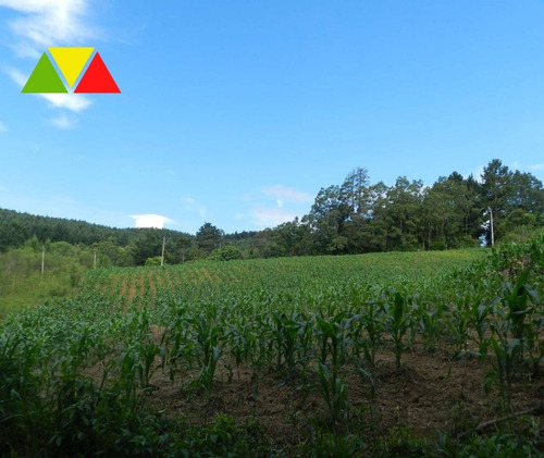Imagem 16 de 25 de Chacara - Ch00139 - 69025039