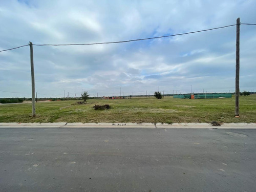 ¡en Alquiler! Dos Lotes En Docta Parque 600 M Cada Uno