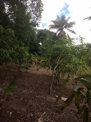 Granja 09 Hectares Na Guabiraba-aldeia Recebemos Imóvel Ou Automóvel - Ch00004 - 67719726