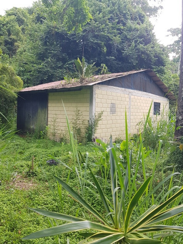 Imagen 9 de 18 de Granja En Peribeca 1.4 Ha